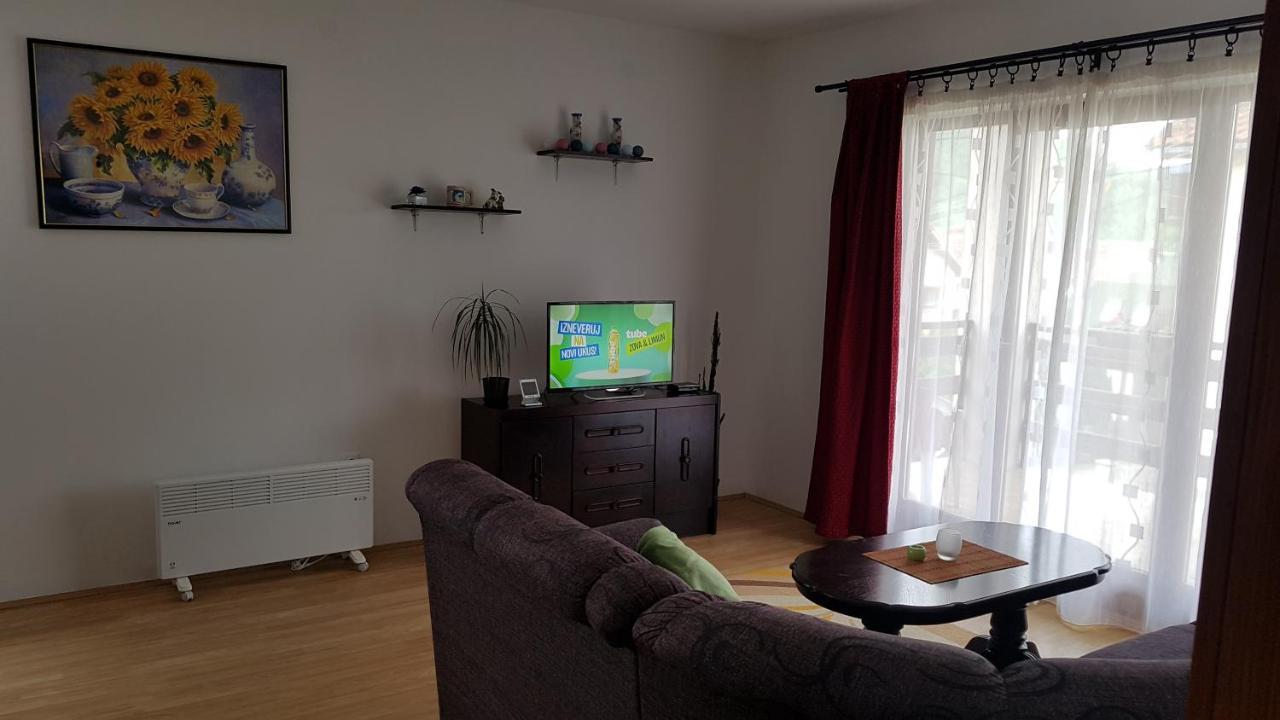 Apartman Jovanovic Apartment Bajina Basta Luaran gambar