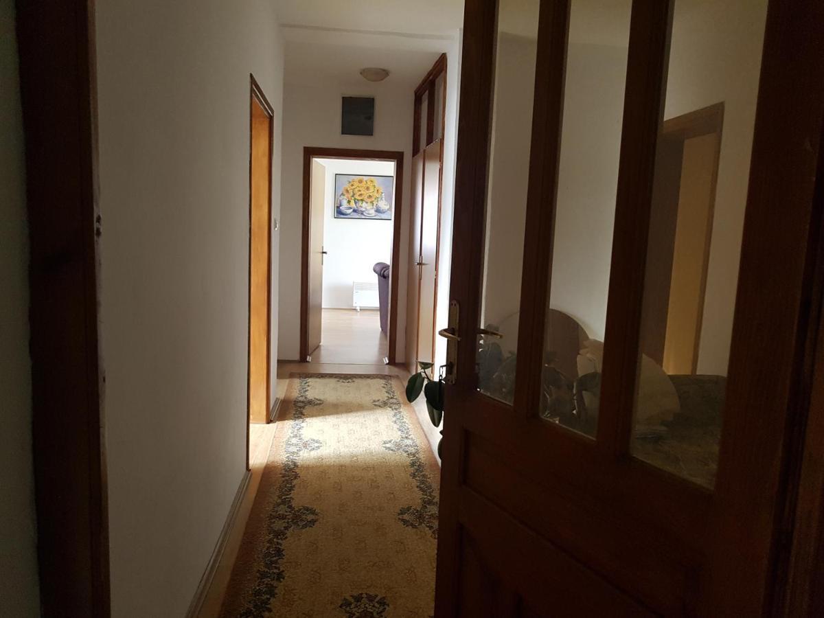 Apartman Jovanovic Apartment Bajina Basta Luaran gambar